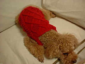 1-brun-knit-1-2-1.jpg