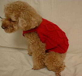 1-brun-knit-1-2-2.jpg